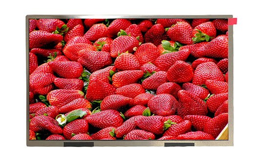 10英寸液晶顯示屏，找廠家更劃算【海飛智顯】-液晶屏廠家