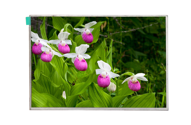 采購(gòu)高亮lcd顯示屏的技巧合集【海飛智顯】-高亮lcd顯示屏廠(chǎng)家