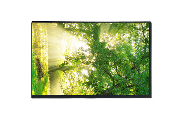 10.1寸TFT屏 10.1寸TFT屏