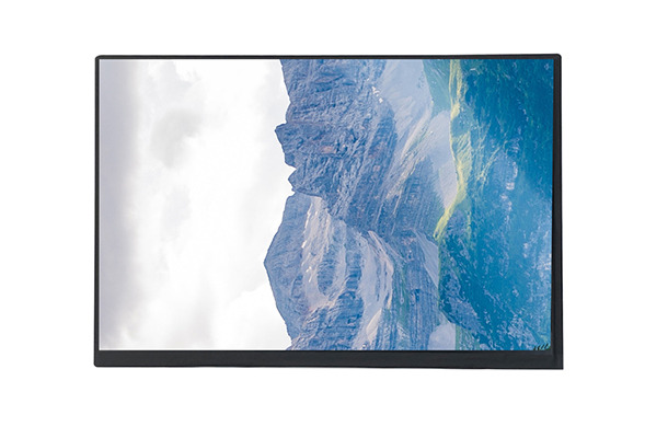 10.1寸LCD顯示屏 10.1寸LCD顯示屏