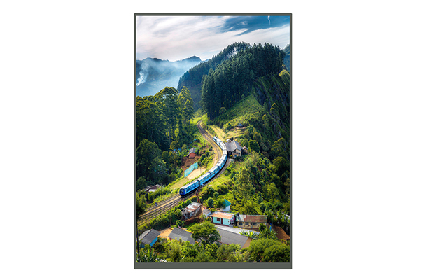 10.1寸TFT液晶屏 10.1寸TFT液晶屏