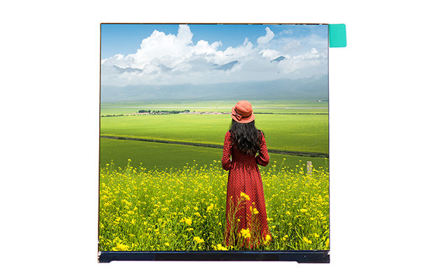 4.5寸LCD液晶屏 4.5寸LCD液晶屏