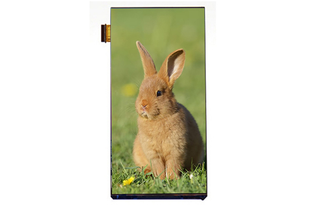 實用主義的平衡術(shù)：5.99寸720×1440屏幕如何在百元機(jī)市場“卡位”成功？