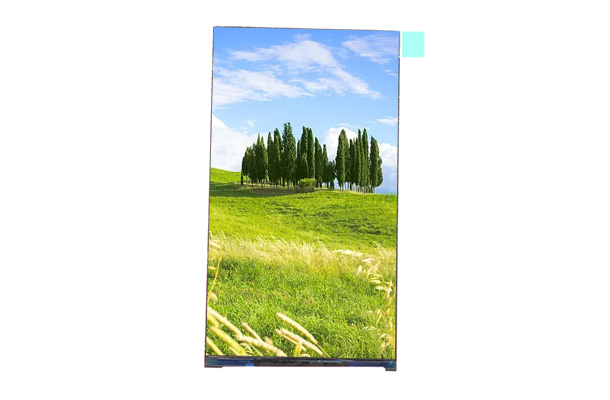 5.5寸480*960液晶顯示屏：低分辨率屏幕還能滿足現(xiàn)代需求嗎？